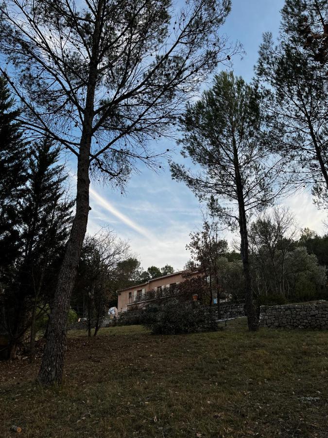Natur & Jasmin Chambres D'Hotes Naturistes En Provence Lorgues Exterior foto