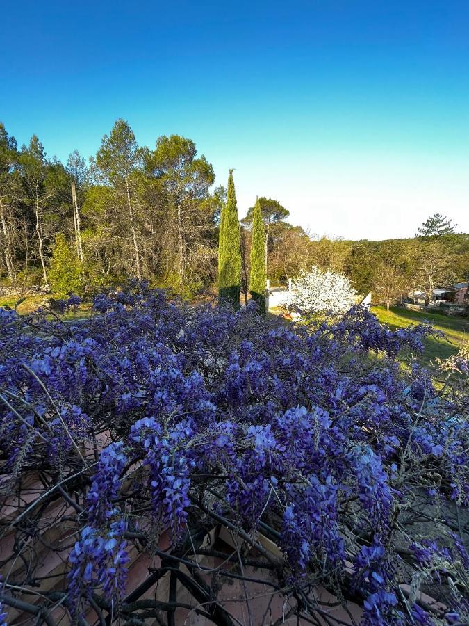 Natur & Jasmin Chambres D'Hotes Naturistes En Provence Lorgues Exterior foto